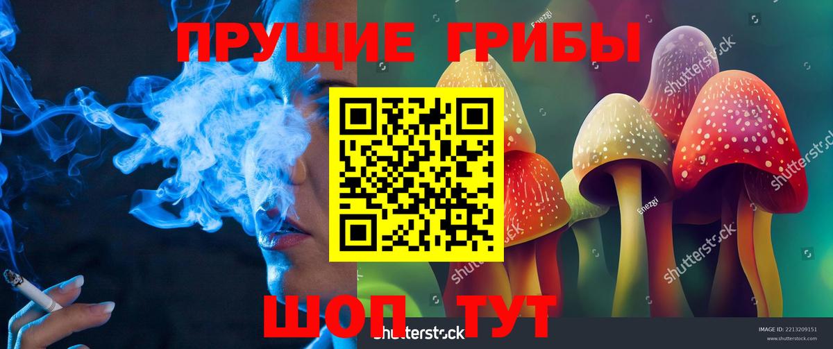 Галлюциногенные грибы MAGIC MUSHROOMS Россошь